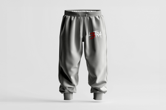 L3tra Gray Sweatpants