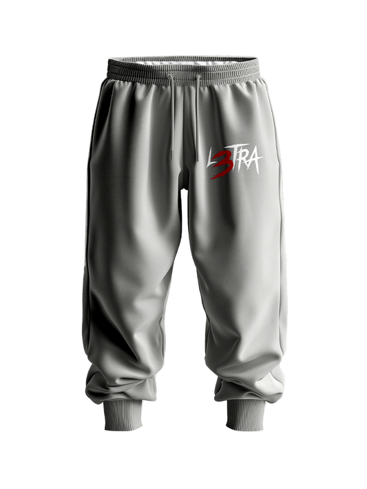 L3tra Gray Sweatpants